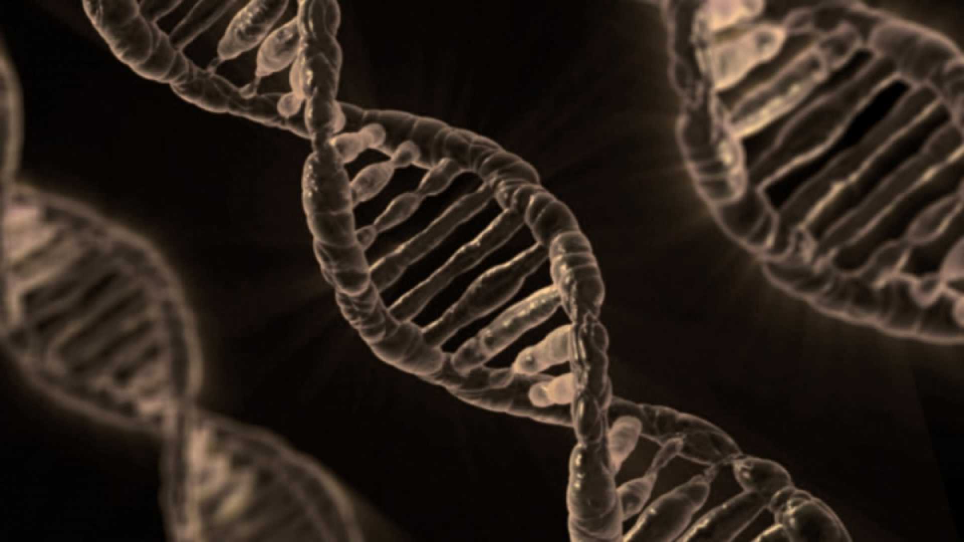 Можем ли мы изменить свой генетический код или судьбу?